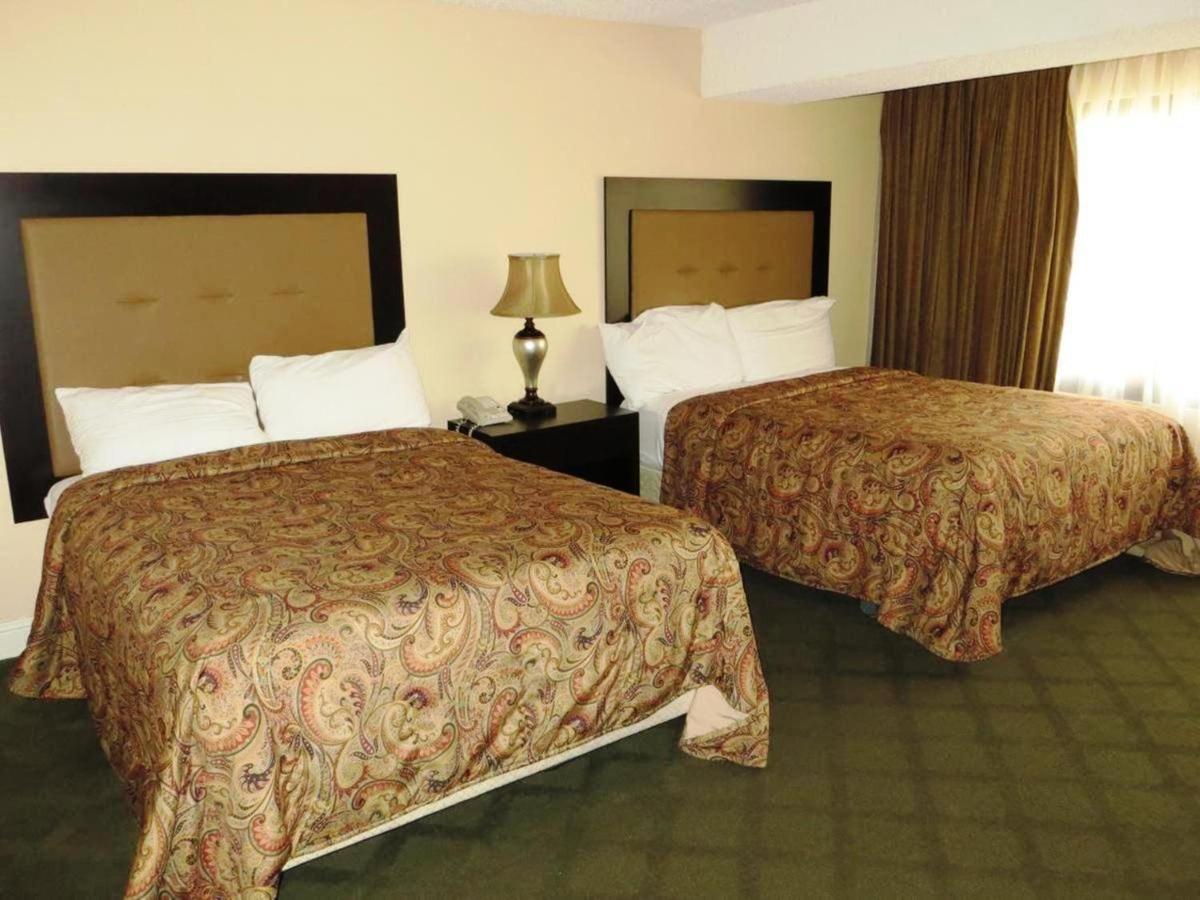 One-Bedroom Deluxe Apartment NO RESORT FEE,943913353:JPEG